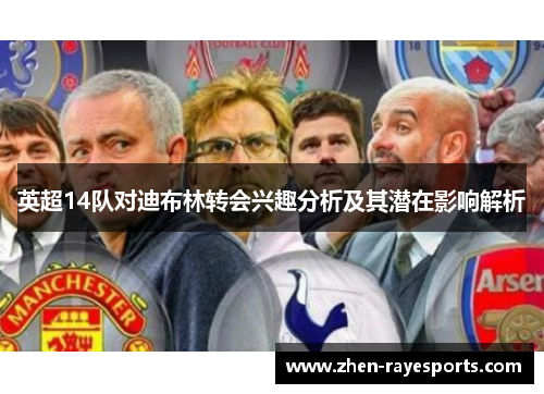 英超14队对迪布林转会兴趣分析及其潜在影响解析